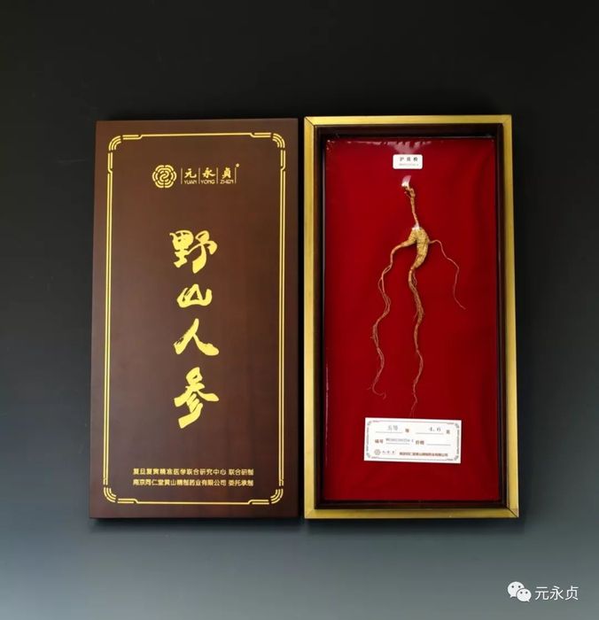 文章附图